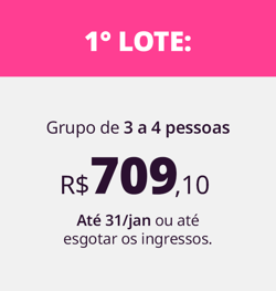 1° LOTE GRT Experience 2025 Grupo de 3 a 4 pessoas