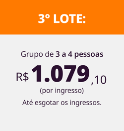3° LOTE - grupo de 3 a 4