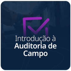 Curso Introdução à Auditoria de Campo